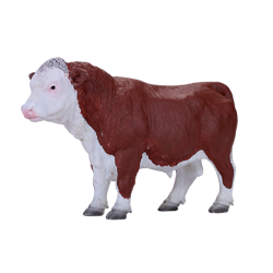 ヘレフォード牛 オス