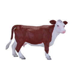 ヘレフォード牛 メス