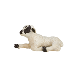 クロ顔ヒツジ(仔)