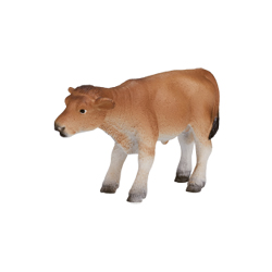 ジャージー牛(仔)